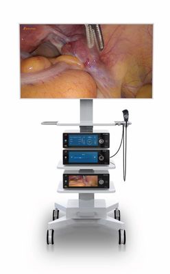 Medische 4k de Endoscopiecamera van de laparoscopieverrichting met 10,2 Duim Geraakte Vertoning