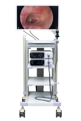 Het chirurgische vertoningsscherm voor Endoscoopcamera monitor van de 27 duim de medische endoscopie