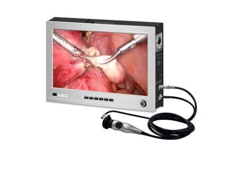 Allen in Één Veterinair Systeem 1000TVL van het Endoscoopbeeld