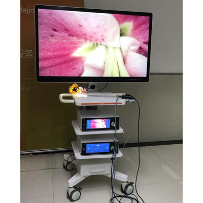 De medische Camera van de Endoscoopmonitor met het Scherm 55inch