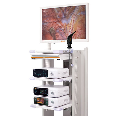 Van de de Endoscoopcamera van UHD 4K Medische het Systeemtoren DJSXJ-IIb
