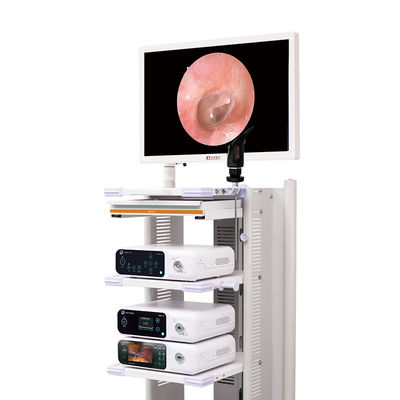 Volledige van de de Endoscoopcamera van HD Medische het Systeem4k Laparoscopic Camera