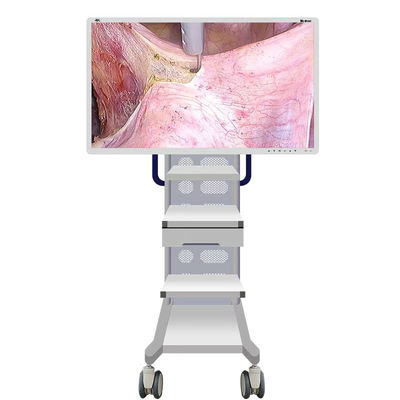De medische Camera van de Endoscoopmonitor met het Scherm 55inch