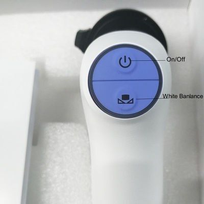 Het veterinaire Draagbare Systeem In real time van de de Overdracht Draadloze Endoscopische Camera van Wifi